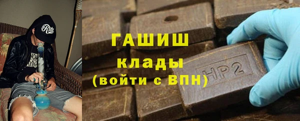шишки Белокуриха