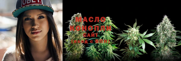шишки Белокуриха