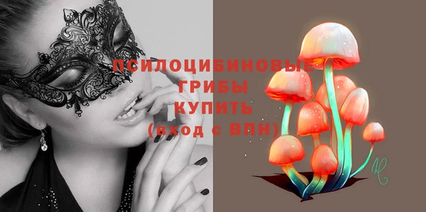 шишки Белокуриха