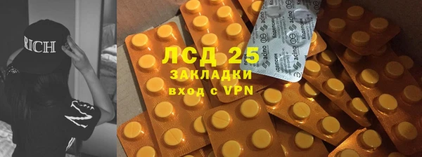 шишки Белокуриха