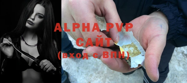 шишки Белокуриха