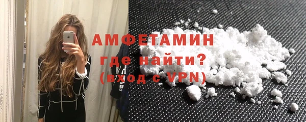 шишки Белокуриха