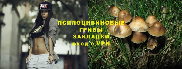 дживик Беломорск