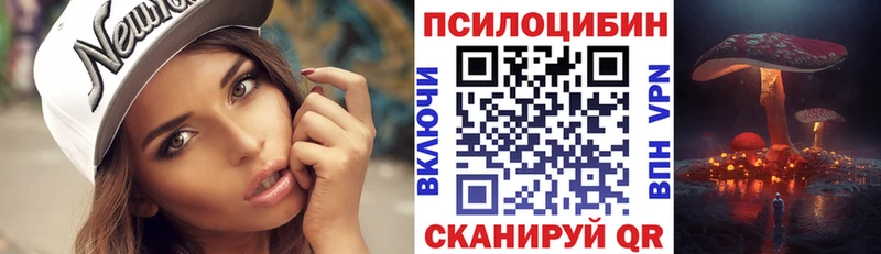 закладки  Полесск  Галлюциногенные грибы прущие грибы 